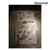 Bild_Rennsemmel1